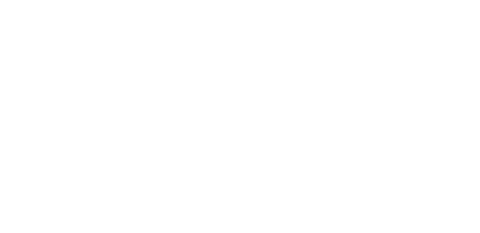 Cleaner Living Services